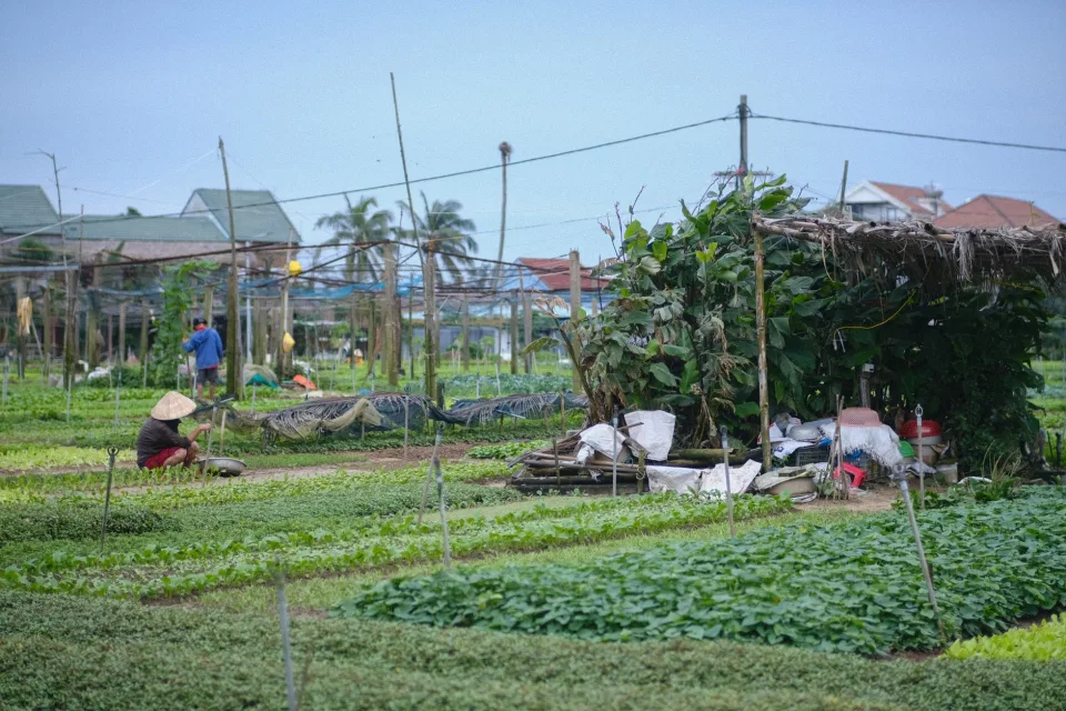 Khu trưng bày nông sản và bảng giá