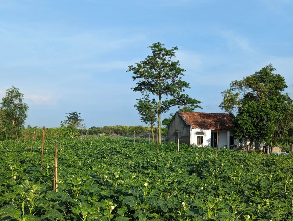 Toàn cảnh cửa hàng nông sản